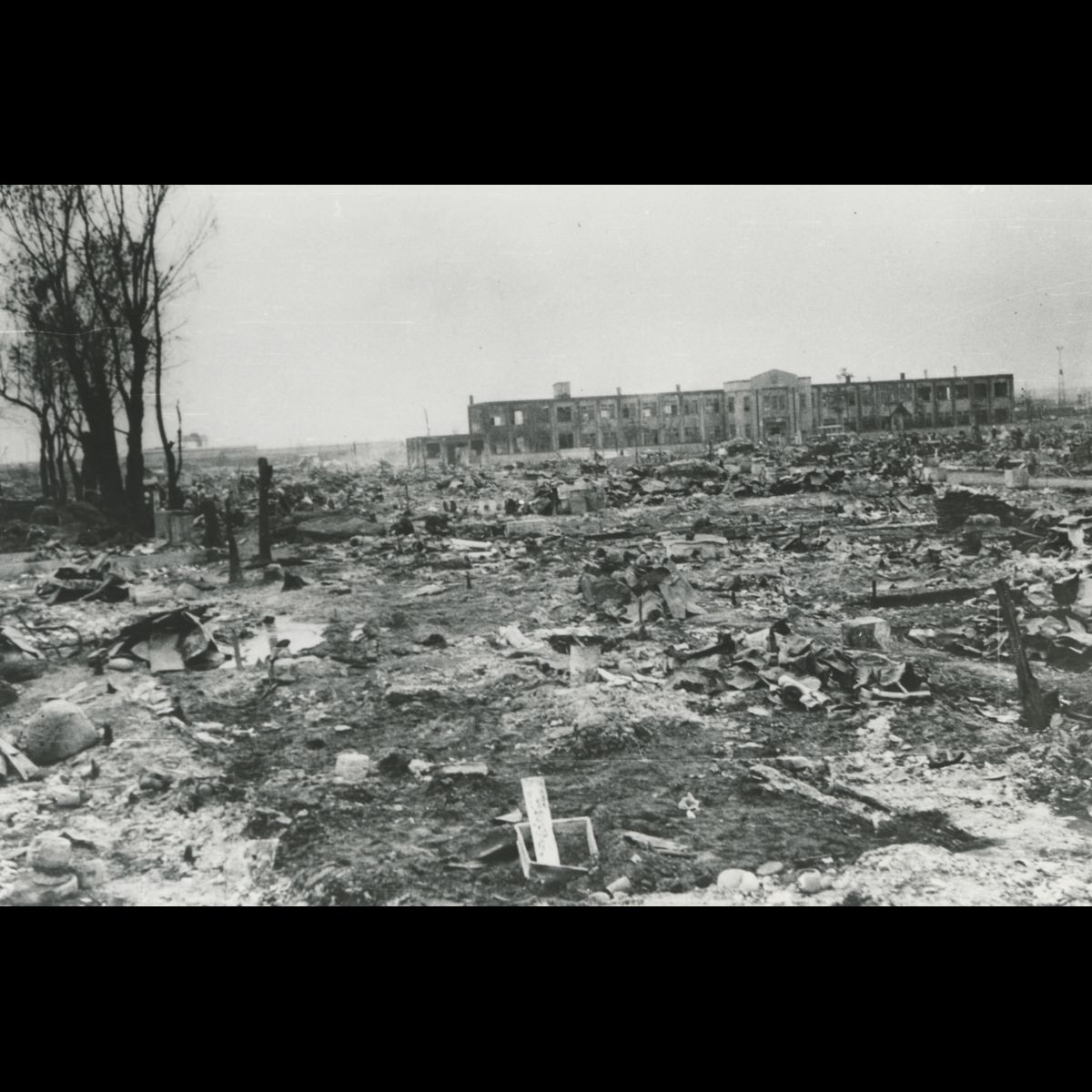 銃器使用マニュアル』から読み解く“銃の現実” その1｜草食動物, image size:1200x1200