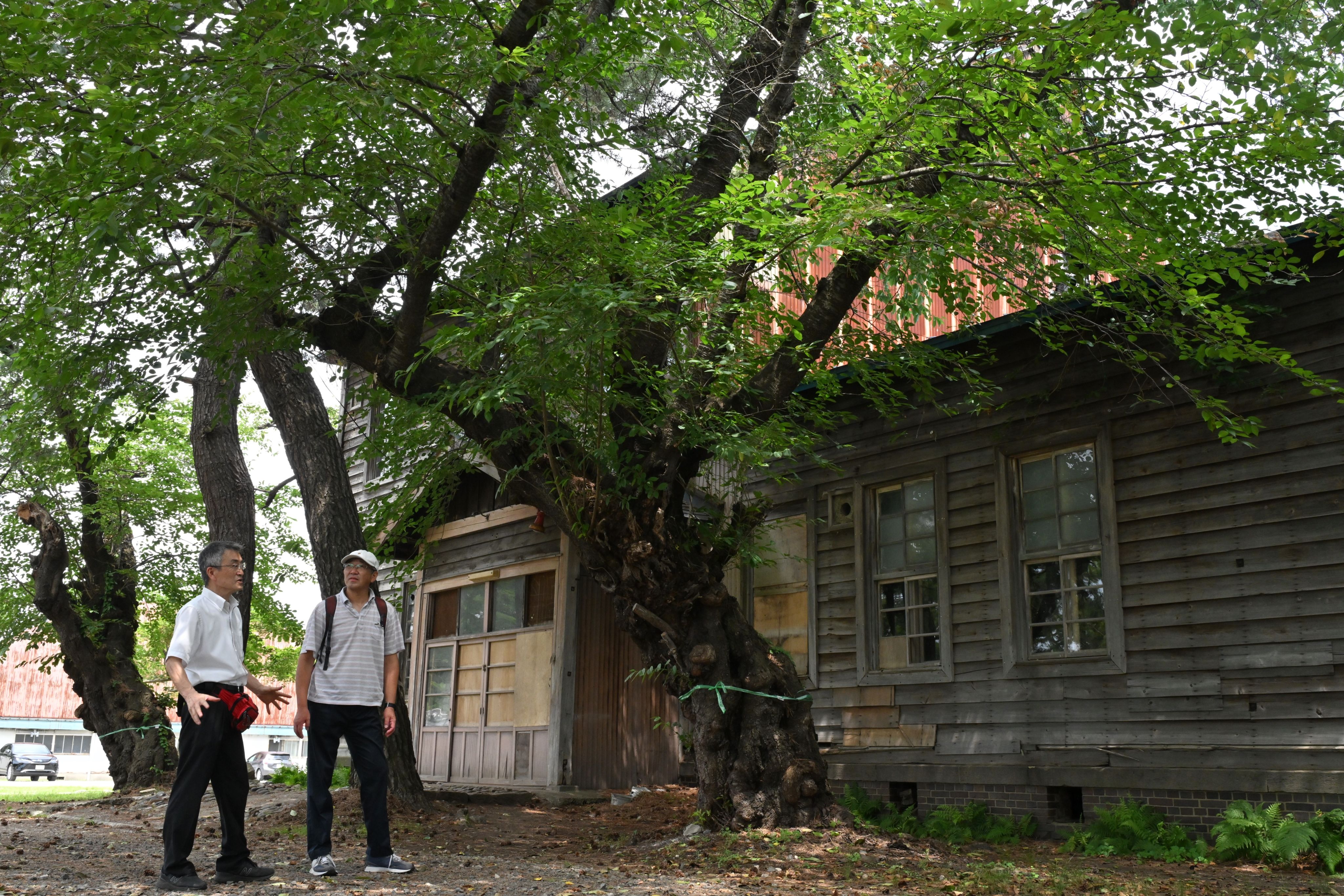  七戸神明宮にある旧奉安殿の「郷友館」